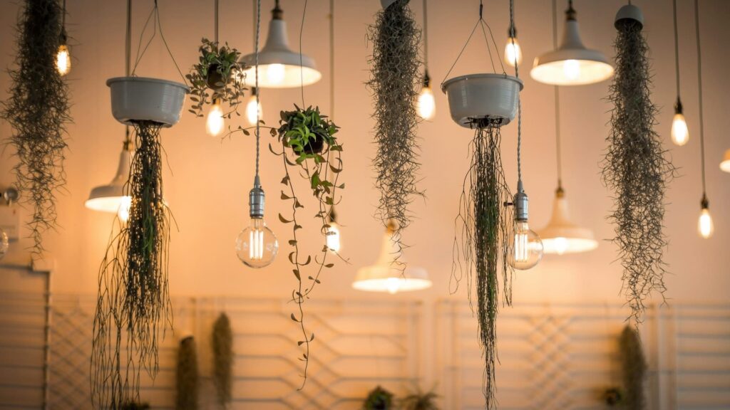 Hanglampen op verschillende hoogtes met planten boven een tafel, met focus op lamphoogte boven tafel.